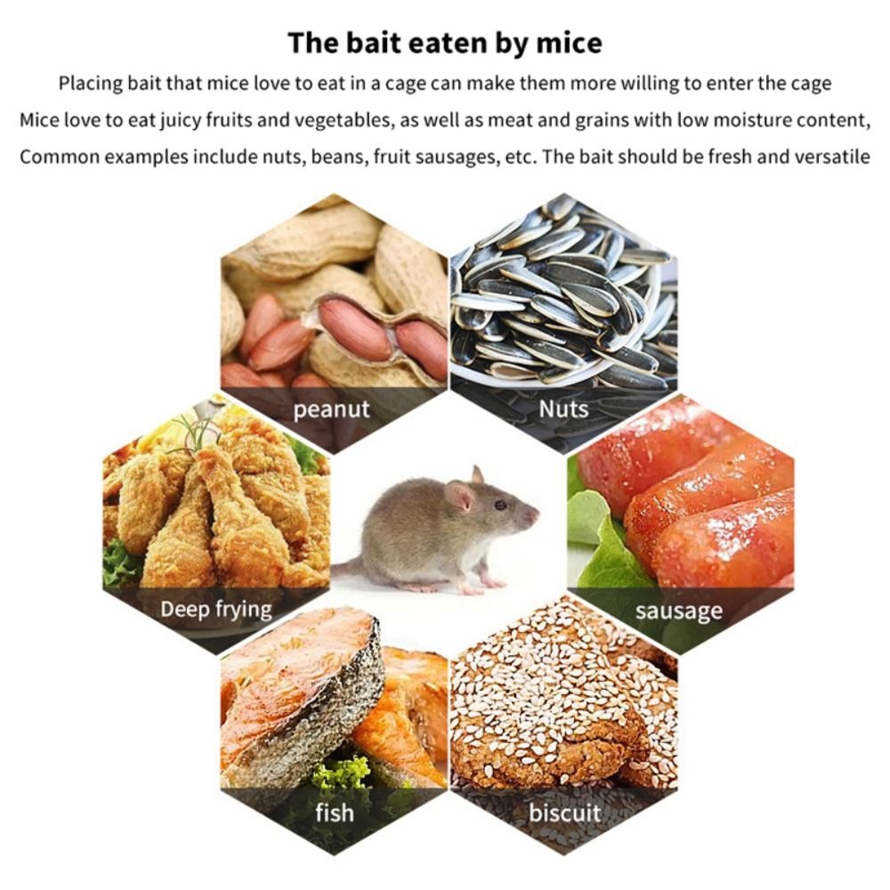 Durable Humane Multi-Catch Rod - đánh giá và giá Board Game Quacks