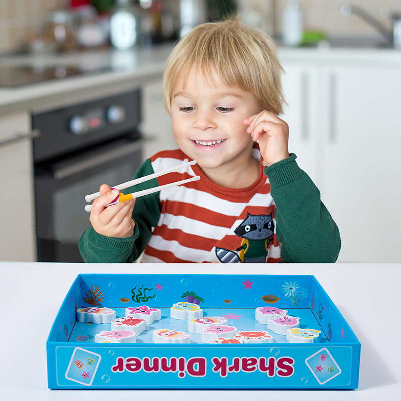 Children Animal Shape Matching - đánh giá và giá Board Game Nature