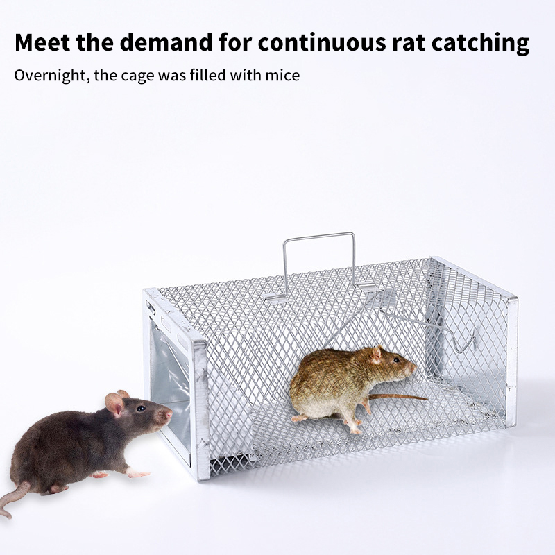 New Multi-Catch Rodent Mouse T - đánh giá và giá Board Game Quacks
